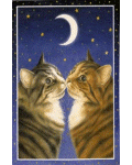 [Kissing Cats Banner]
