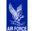 [Air Force Academy Banner]