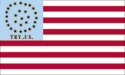 [U.S. 28 Star Van Buren Avengers Flag]