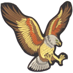 Flying Eagle Patch