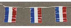 [Netherlands Poly Flag Strings]