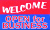 Welcome Red/Blue - 3x5' Vinyl Banner
