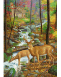 Deer Stream Banner
