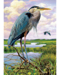 Blue Heron Banner