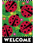 Ladybugs Banner