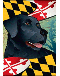 Maryland Flag with Black Lab Banner