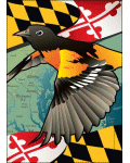 Maryland Flag with Oriole Banner