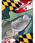 Maryland Flag with Rockfish Banner