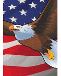 USA Eagle Banner