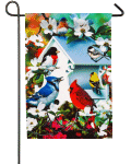 [Backyard Birds Banner]