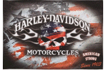 [Harley Davidson Flaming Skull Flag]