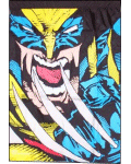 [Wolverine wall banner flag]