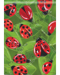 [Lucky Ladybugs Banner]