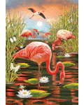 [Flamingo Sunset Banner]