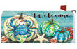 [Crabby Pumpkin Mailbox Cover]