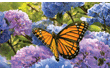 [Monarch Hydrangeas Large Mailbox Cover]