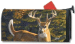 White Tail Buck Mailbox Cover