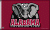 University of Alabama flag