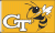 Georgia Tech University flag