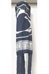 [Penn State University Windsock]