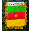 [Cameroon Mini Banner]