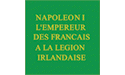 [Reverse of Two-Sided Napoleon's Irish Legion Flag]