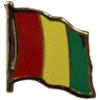 [Guinea Flag Pin]