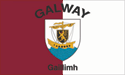 [Galway City, Ireland Flag]