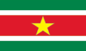 [Suriname Flag]