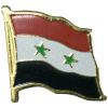 [Syria 2star Flag Pin]