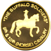 [Buffalo Soldiers Pins]