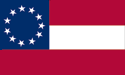 [1st Confederate - 11 Stars Flag]