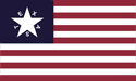 [Crockett Alamo Flag]
