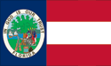 [Florida 1861 Flag]