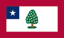 [Mississippi 1862 Flag]