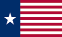 [Texas Navy (long canton) Flag]