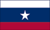 Texas Pilot flag
