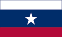 [Texas Pilot Flag]