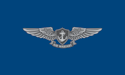 [Navy Air Warfare Silver Flag]