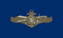 [Navy Information Warfare Gold Flag]