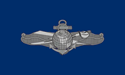 [Navy Information Warfare Silver Flag]