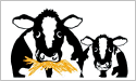 [Cows Flag]