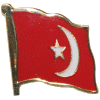 [Nation of Islam Flag Pin]