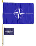 NATO stick flags