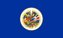 [OAS Flag]