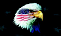 [Patriotic Eagle Flag]