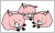 Pigs flag