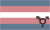 Rainbow-Transgender Logo page