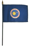 NASA Desk Flag