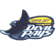 Devil Rays Logo Pin
